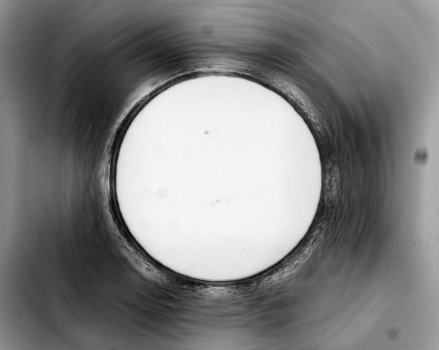 X0000103451130200810101122