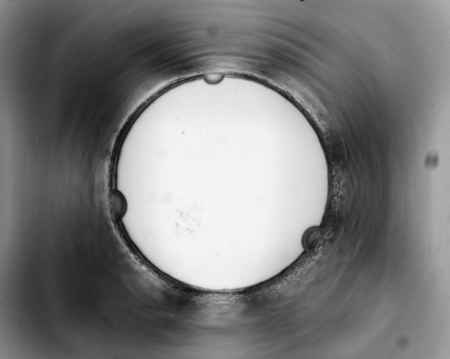 X0000103451134200810101122