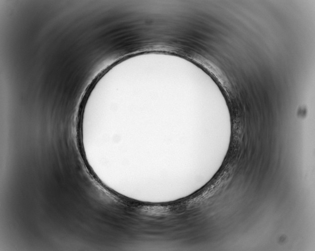 X0000103451135200810101122