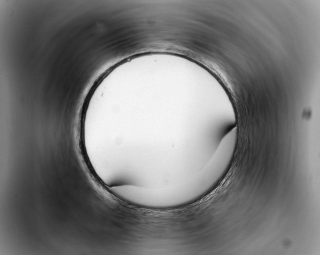 X0000103451136200810101122