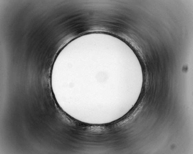 X0000103451137200810101122