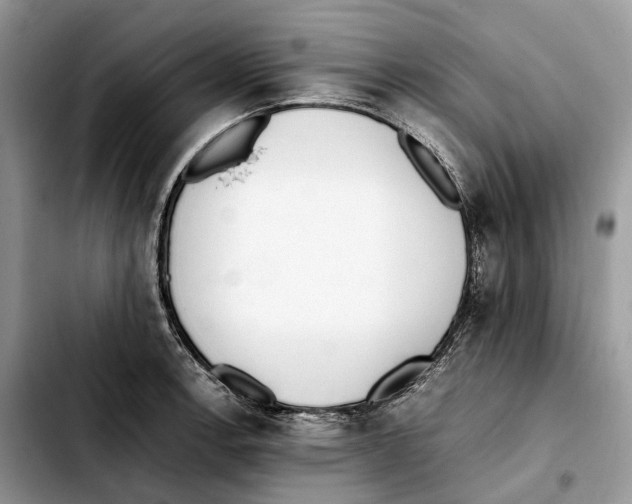 X0000103451138200810101122