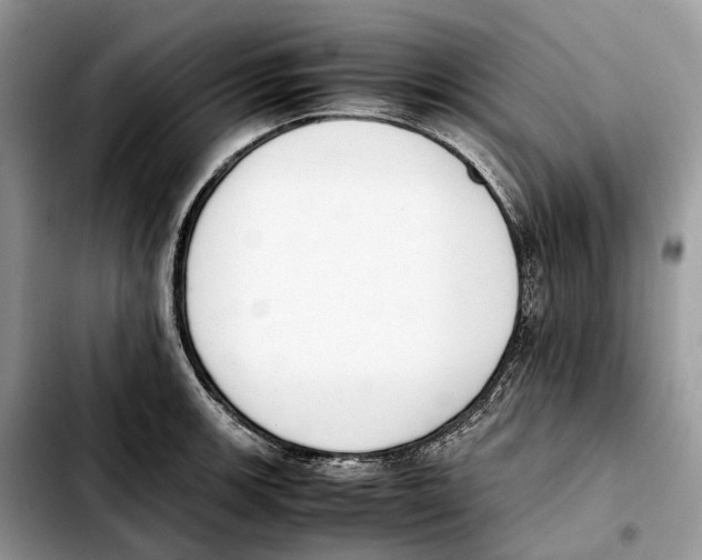 X0000103451139200810101122