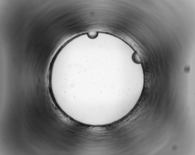 X0000103451140200810101122