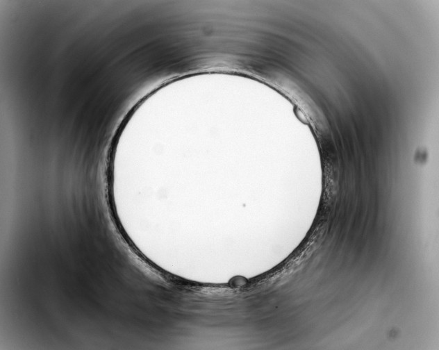 X0000103451142200810101122