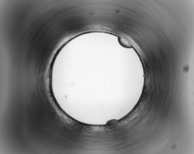 X0000103451144200810101122