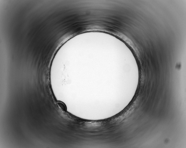 X0000103451145200810101122