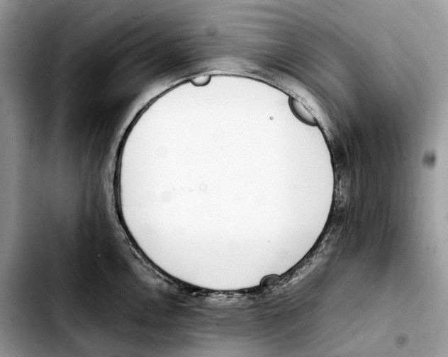 X0000103451146200810101122