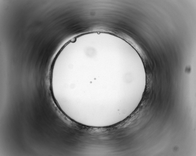 X0000103451148200810101122