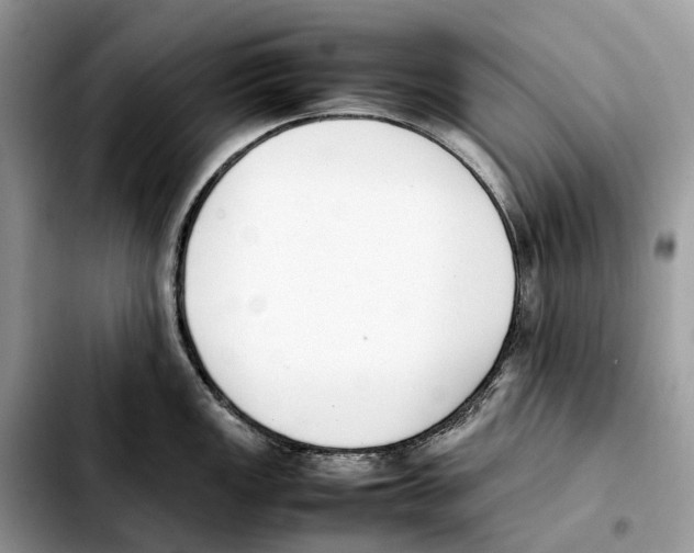 X0000103451149200810101122