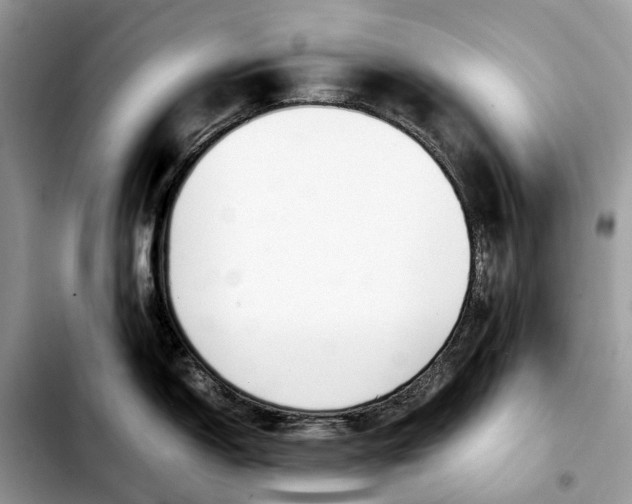 X0000103451150200810101122