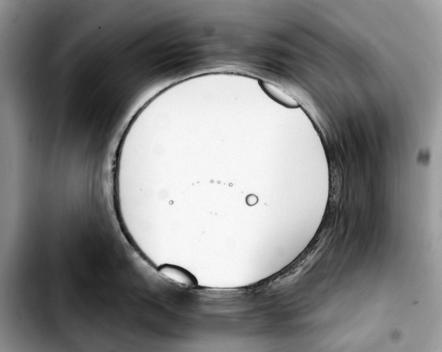 X0000103451151200810101122