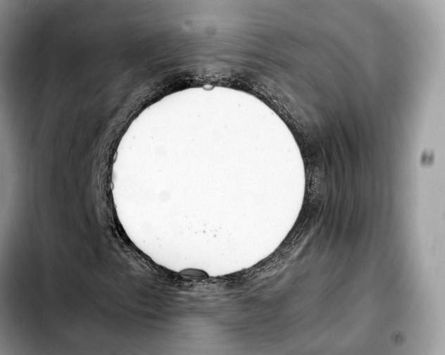 X0000103451153200810101121