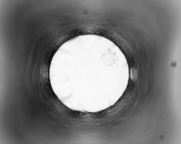 X0000103451155200810101121