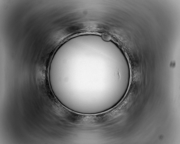 X0000103451161200810101121