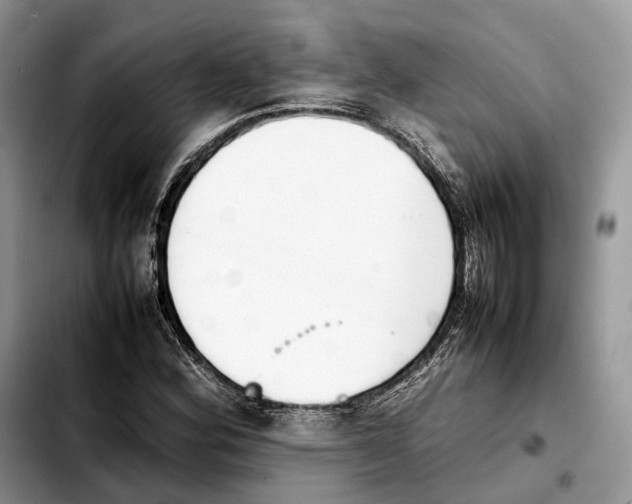 X0000103451164200810101121