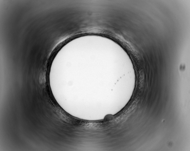 X0000103451166200810101121