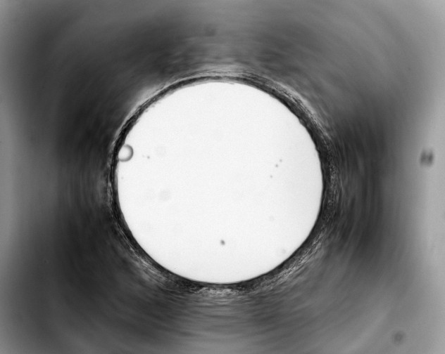 X0000103451168200810101121