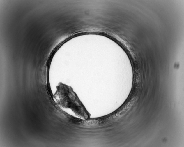 X0000103451171200810101121