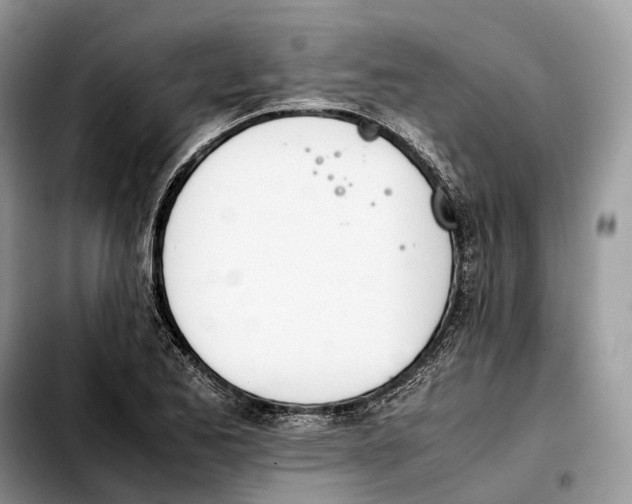 X0000103451173200810101121