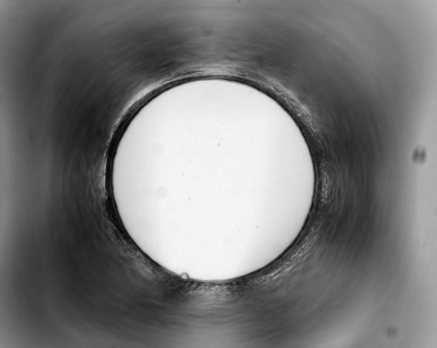 X0000103451174200810101121