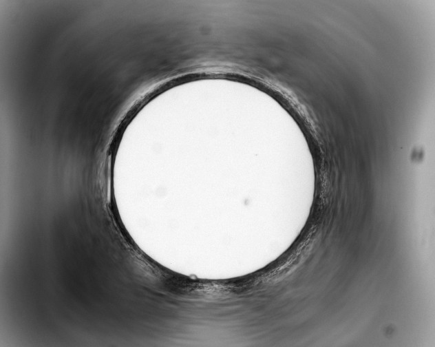 X0000103451175200810101121