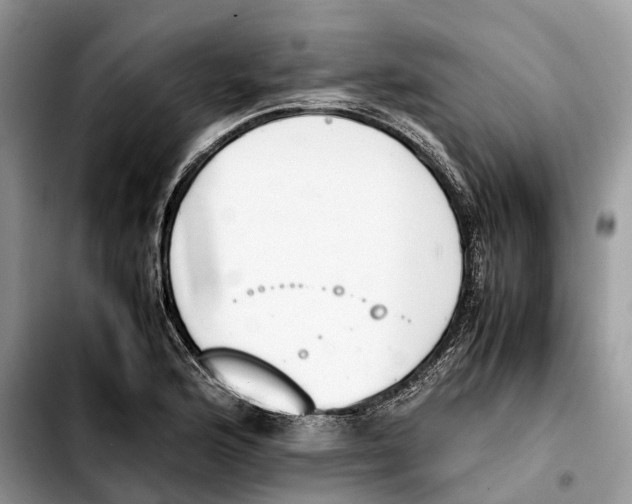 X0000103451176200810101121