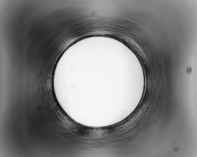 X0000103451177200810101121