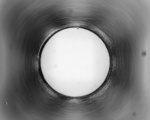 X0000103451178200810101121