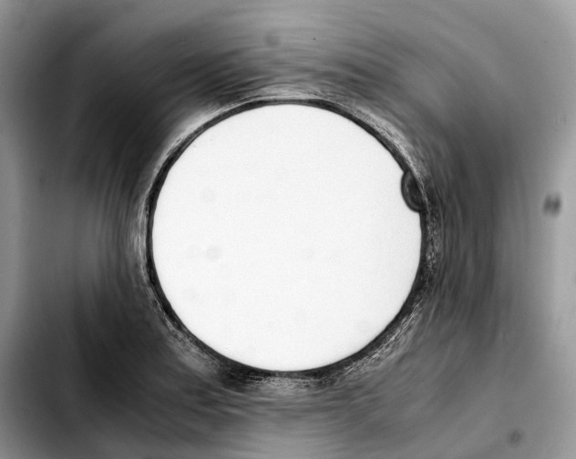 X0000103451179200810101121