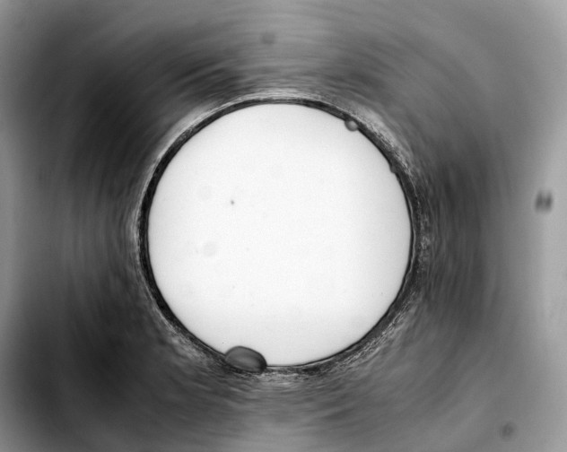 X0000103451181200810101121