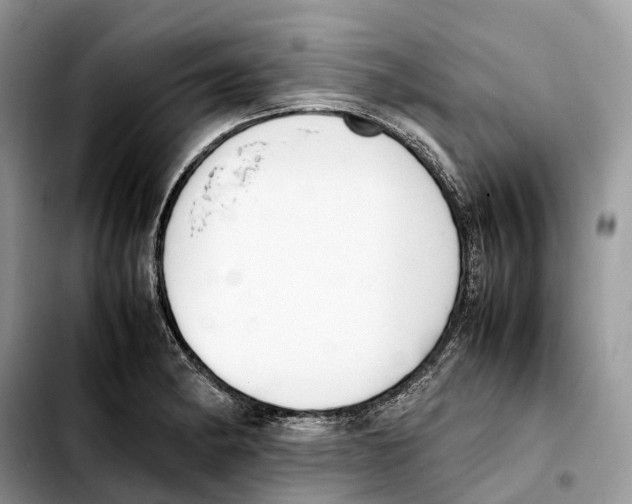 X0000103451182200810101121