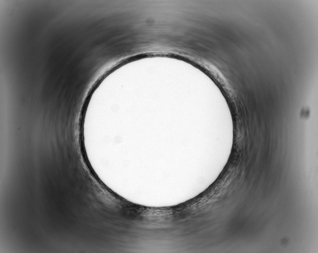 X0000103451183200810101121