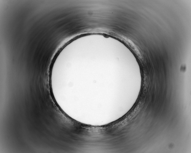 X0000103451184200810101121