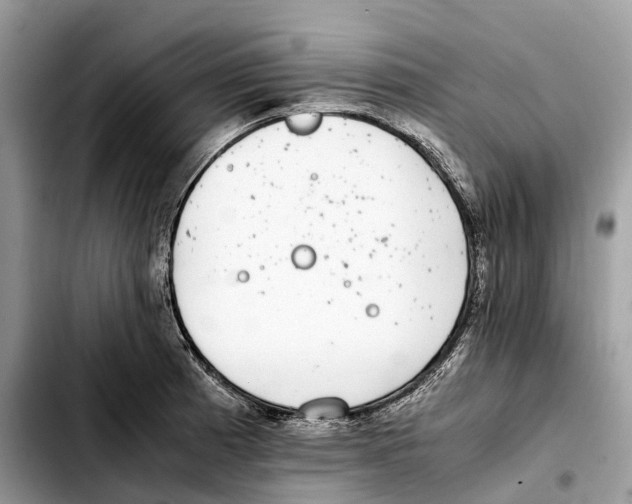 X0000103451185200810101121