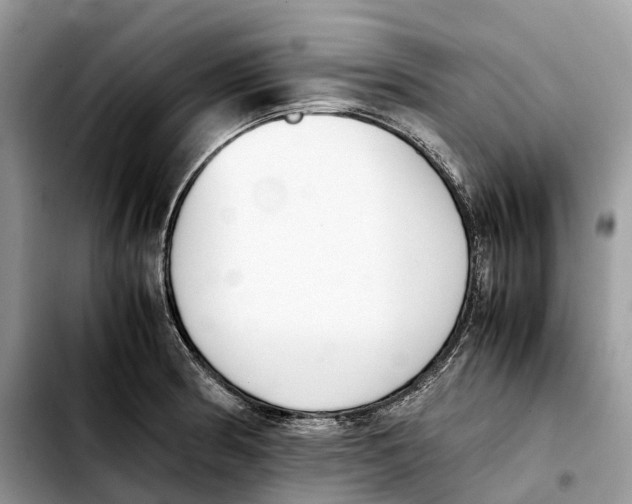 X0000103451186200810101121