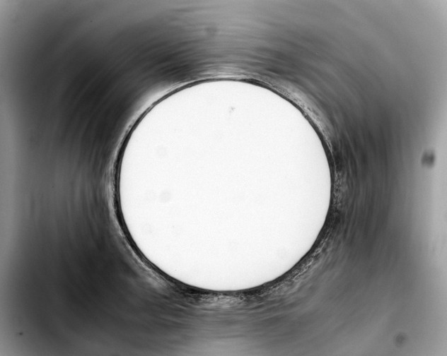 X0000103451187200810101121