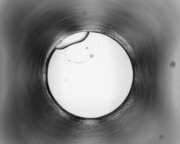 X0000103451188200810101121