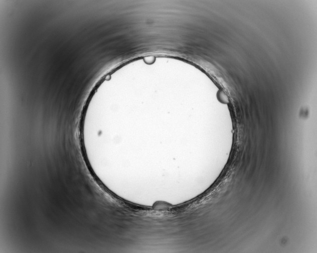 X0000103451189200810101121