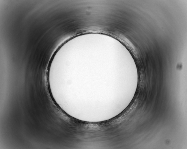 X0000103451190200810101121