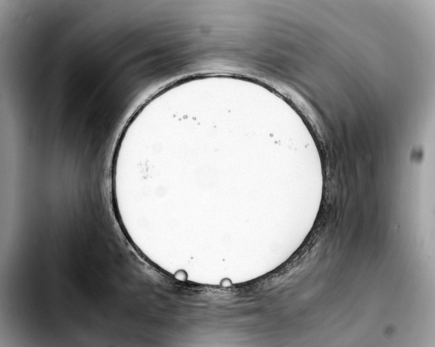 X0000103451191200810101121