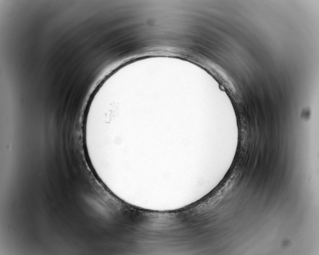 X0000103451192200810101121