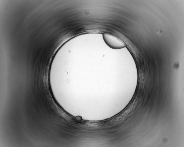 X0000103451194200810101121