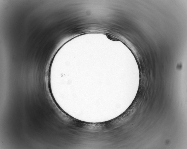 X0000103451195200810101121