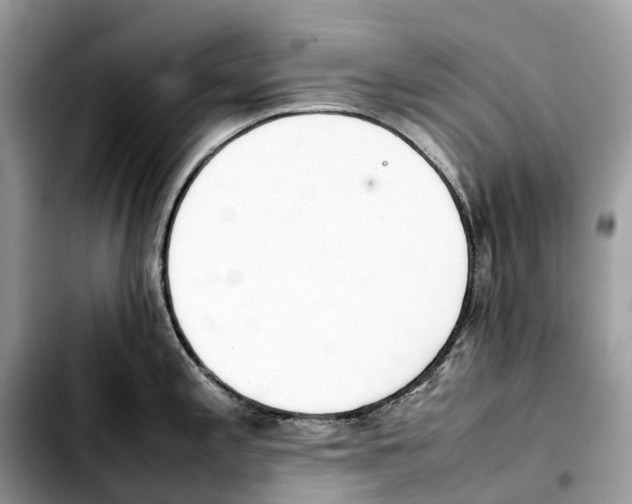 X0000103451197200810101121