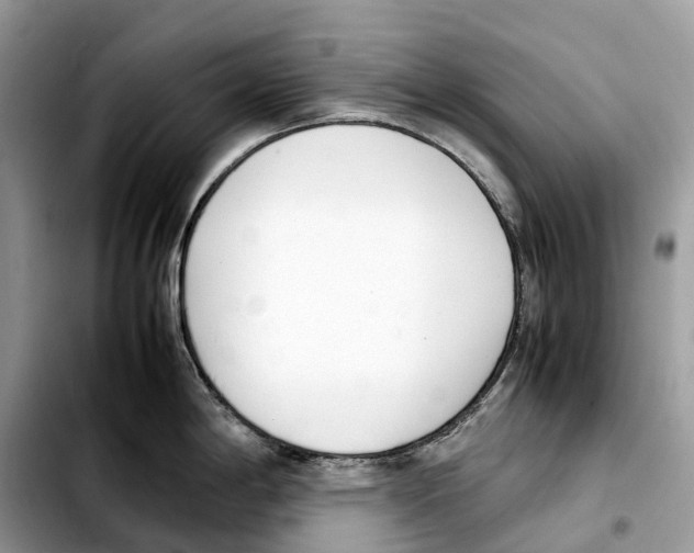 X0000103451198200810101121