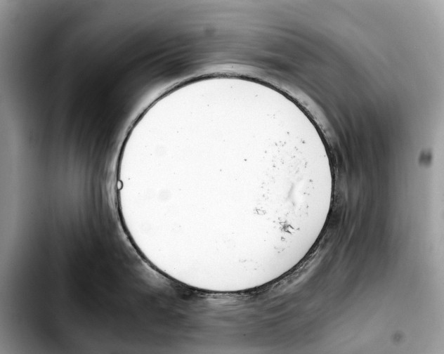 X0000103451199200810101120