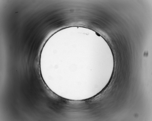 X0000103451200200810101120