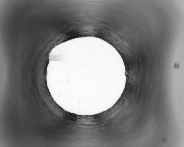 X0000103451201200810101120