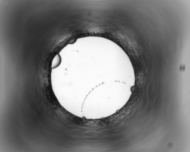 X0000103451205200810101120